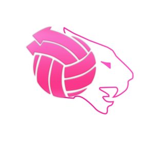 Volleyball Club Gay de Lyon